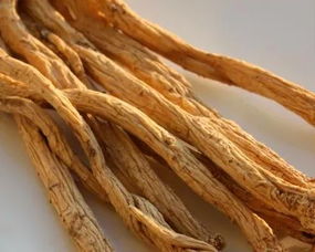 即墨古城年味濃 趕年集購(gòu)隴南天麻，賞白馬人歌舞迎新春